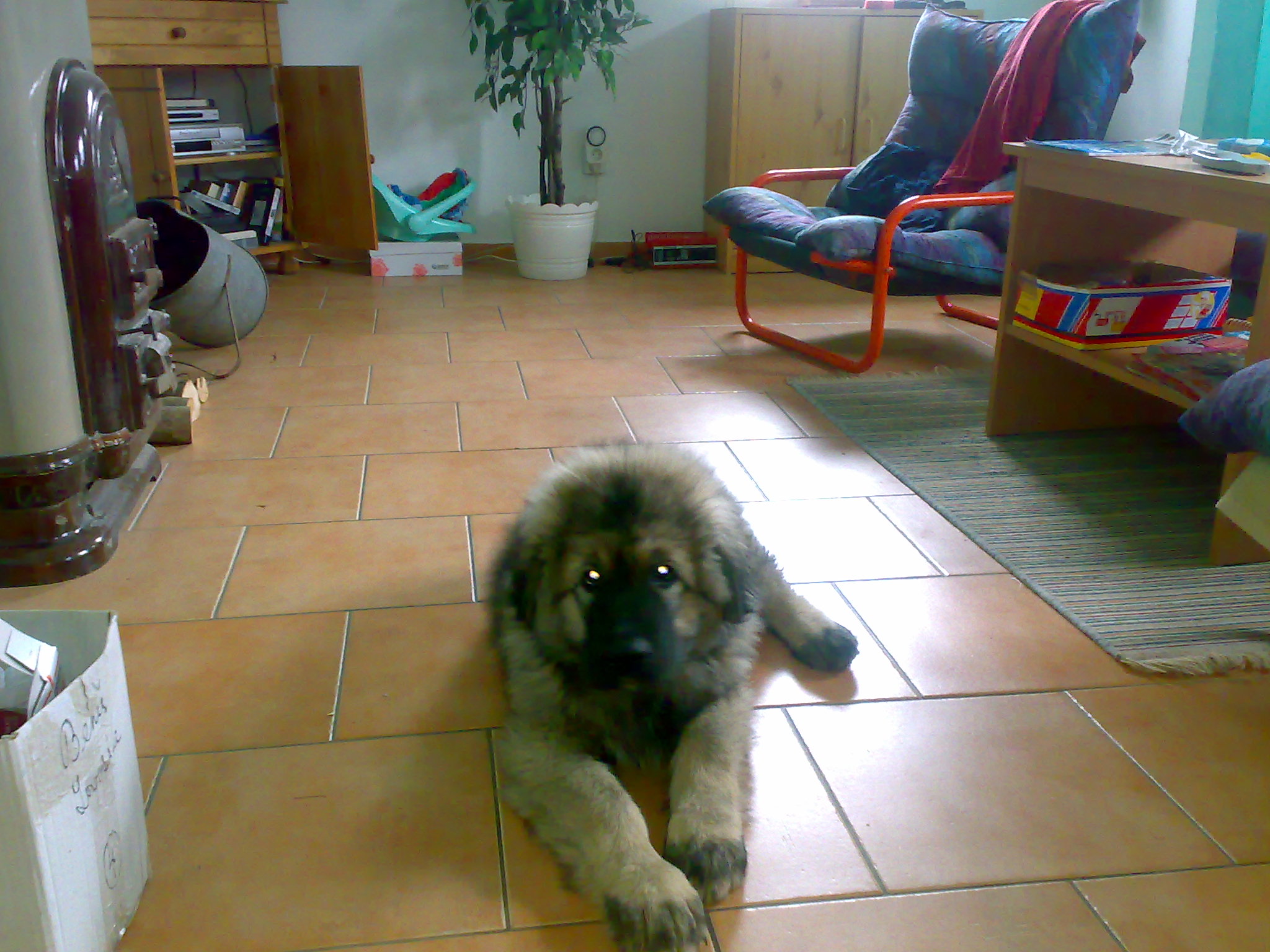 24102007092.jpg