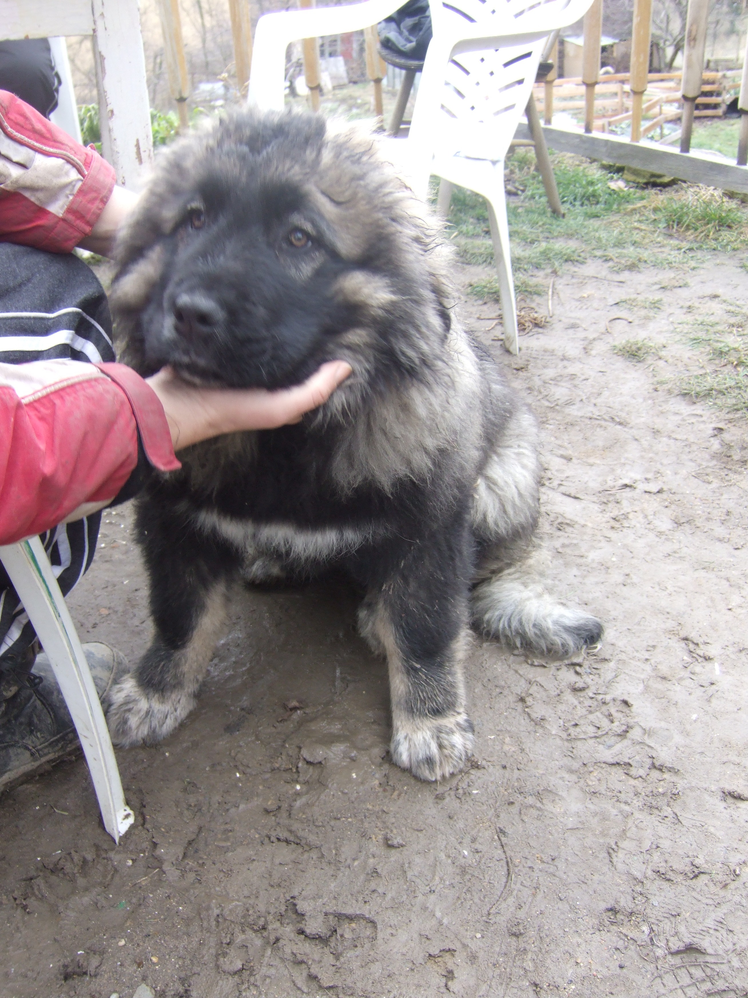 DSCF1738.JPG